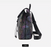Chameleon Prism Backpack