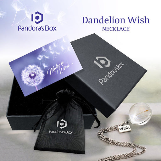 Dandelion Wish Necklace Gift Set