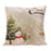 Multi-styled Christmas Series Pillow Cases